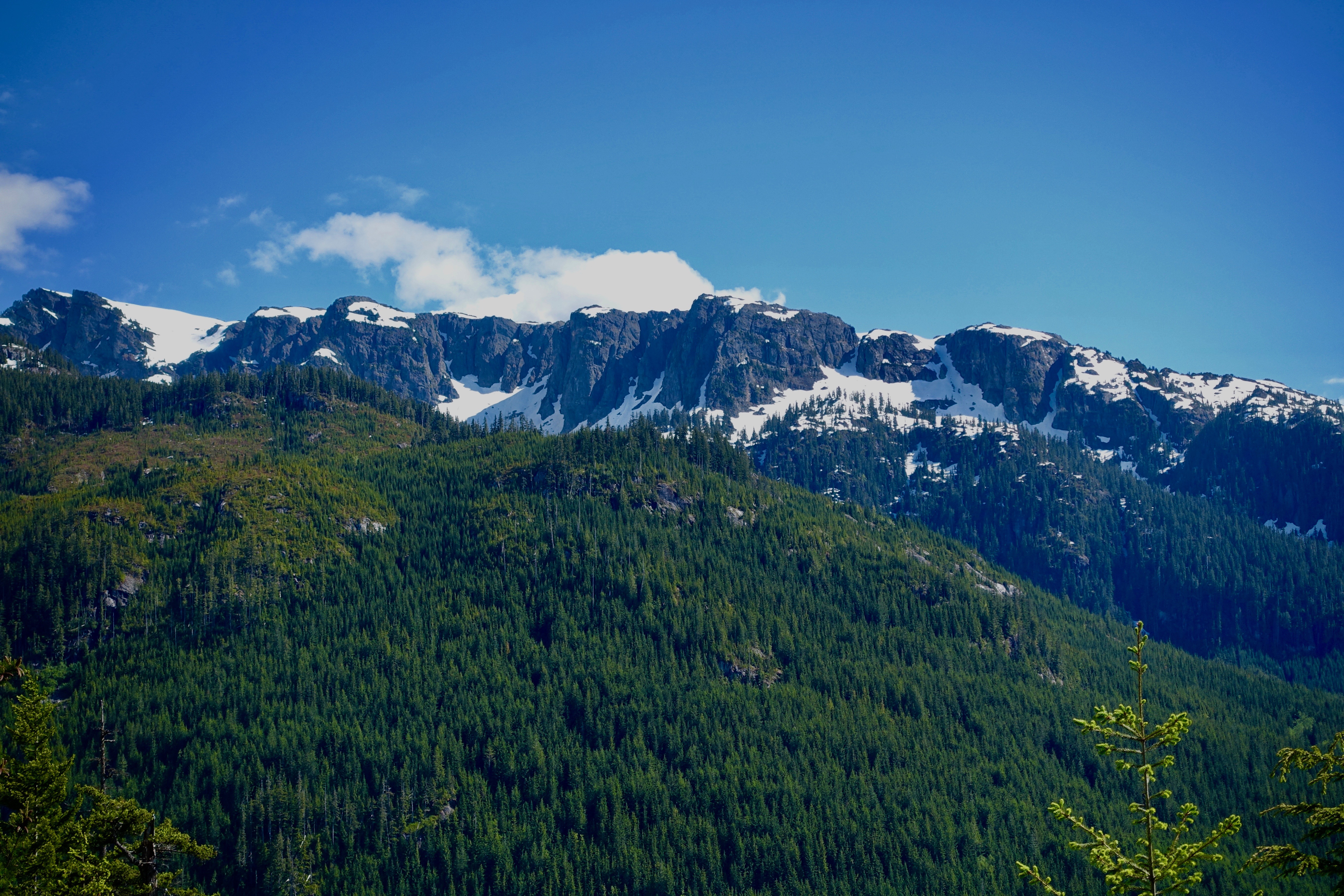 A full-size image example